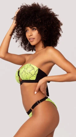 Yandy Snake Charmer Bikini Bottom -Be Wicked Sales EY 4218T EY 4218B YANDY SNAKE BIKINI SWIMSUIT GREEN 40