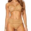 Forplay Neutral Mesh Bra Set -Be Wicked Sales FP 771639 nude alt1 lg 2021APR29043