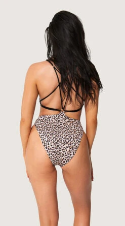 Playboy Leopard Vibes One Piece Swimsuit 8 Playboy Leopard Vibes One Piece Swimsuit -Be Wicked Sales PB EY4339 MULTI B 2022JUNE48744